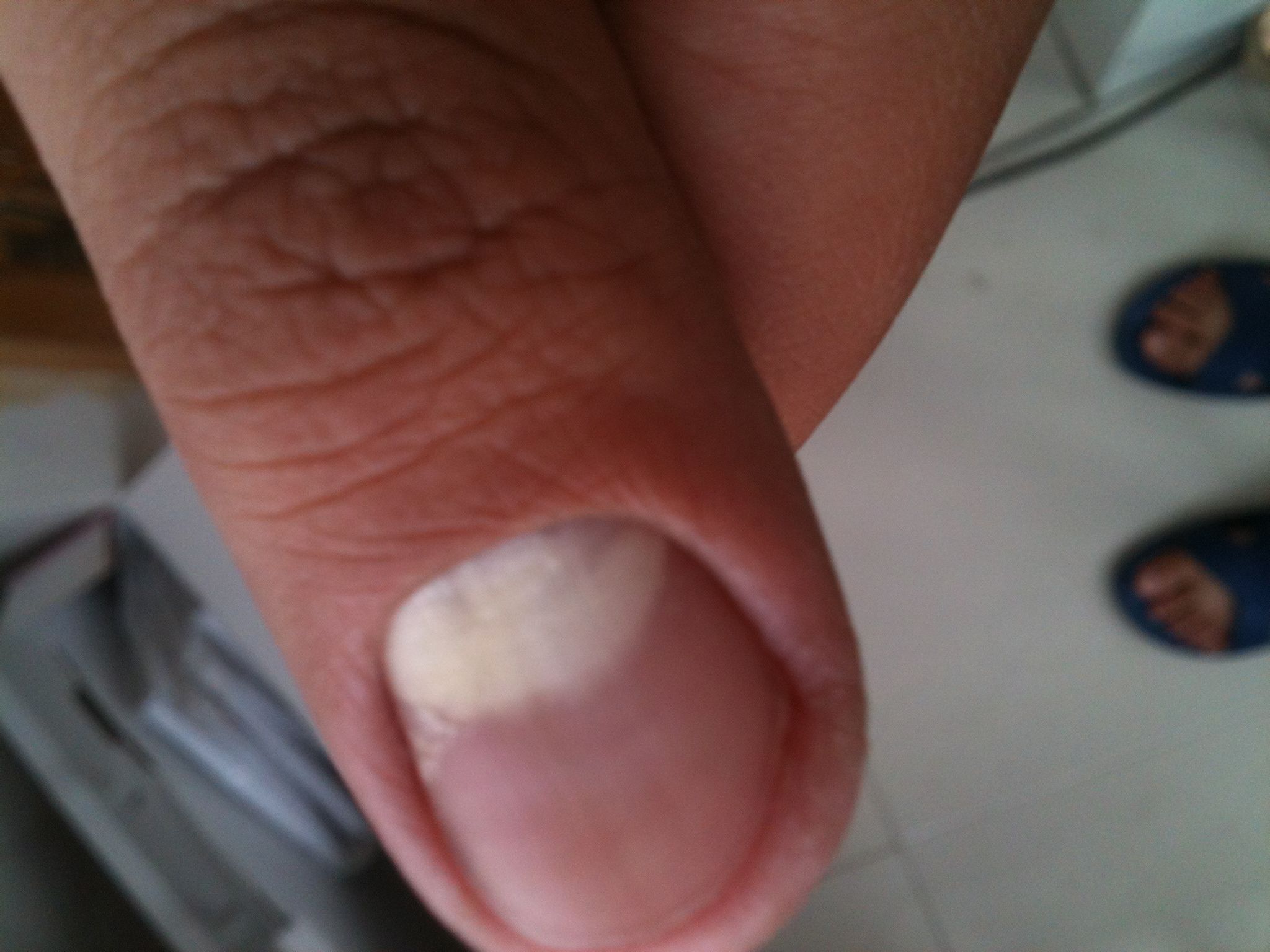 始康成 第2页