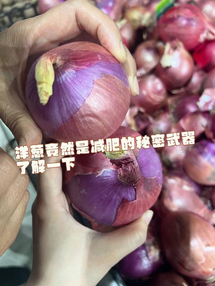 吃洋葱能减肥吗