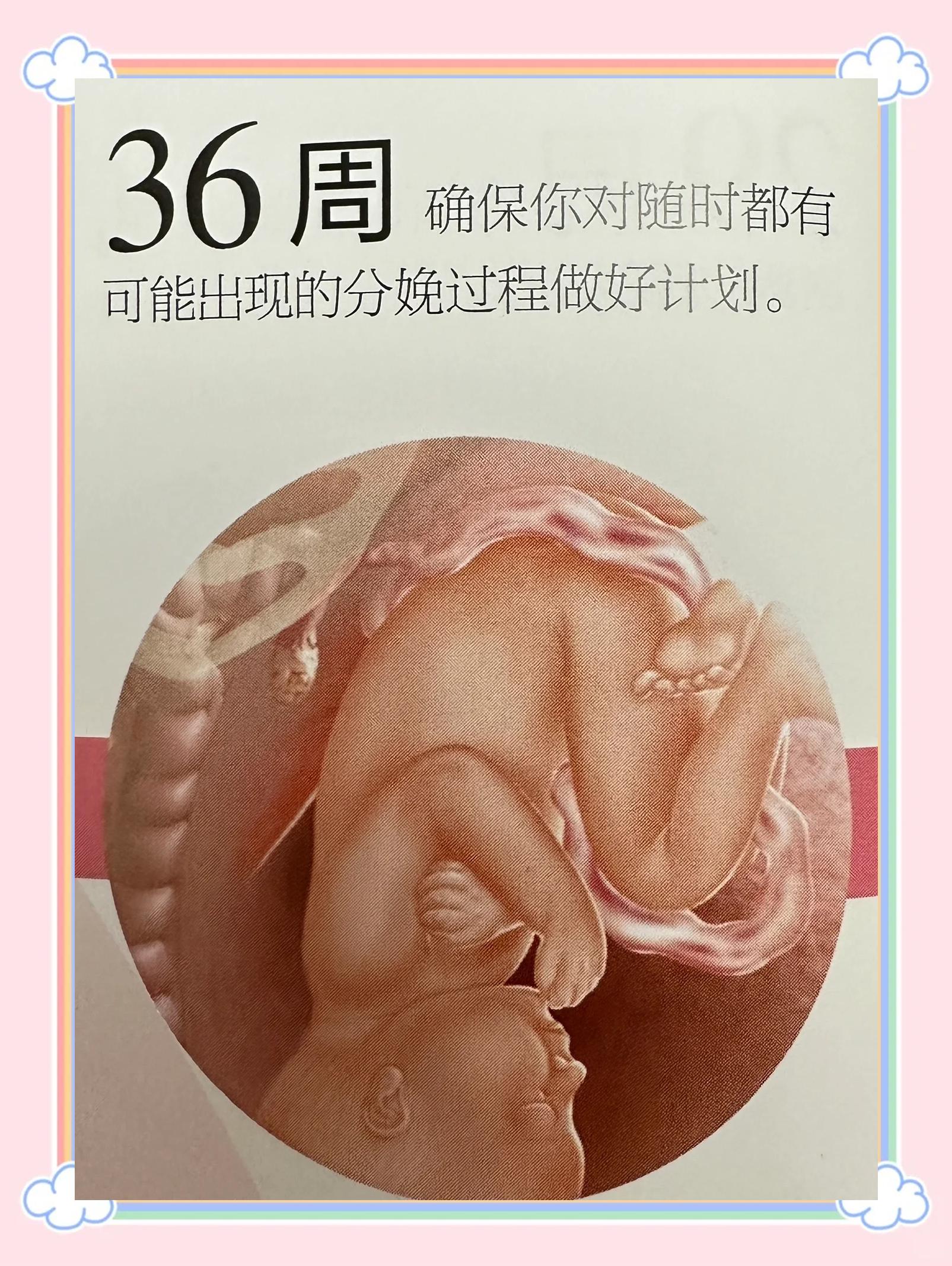 34周胎儿发育标准