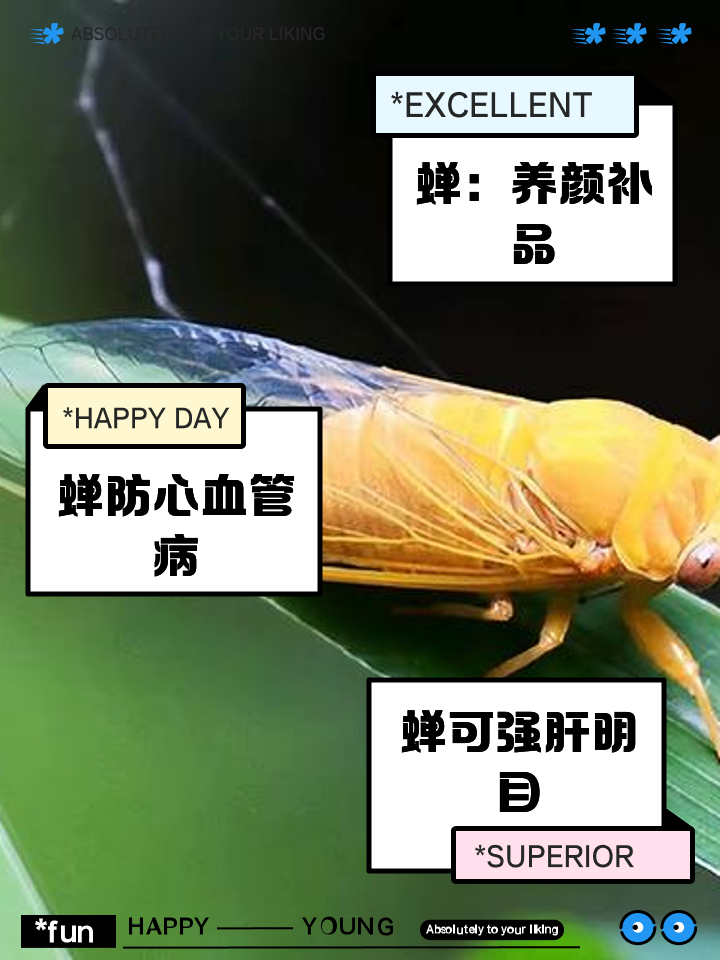 吃金蝉有什么好处