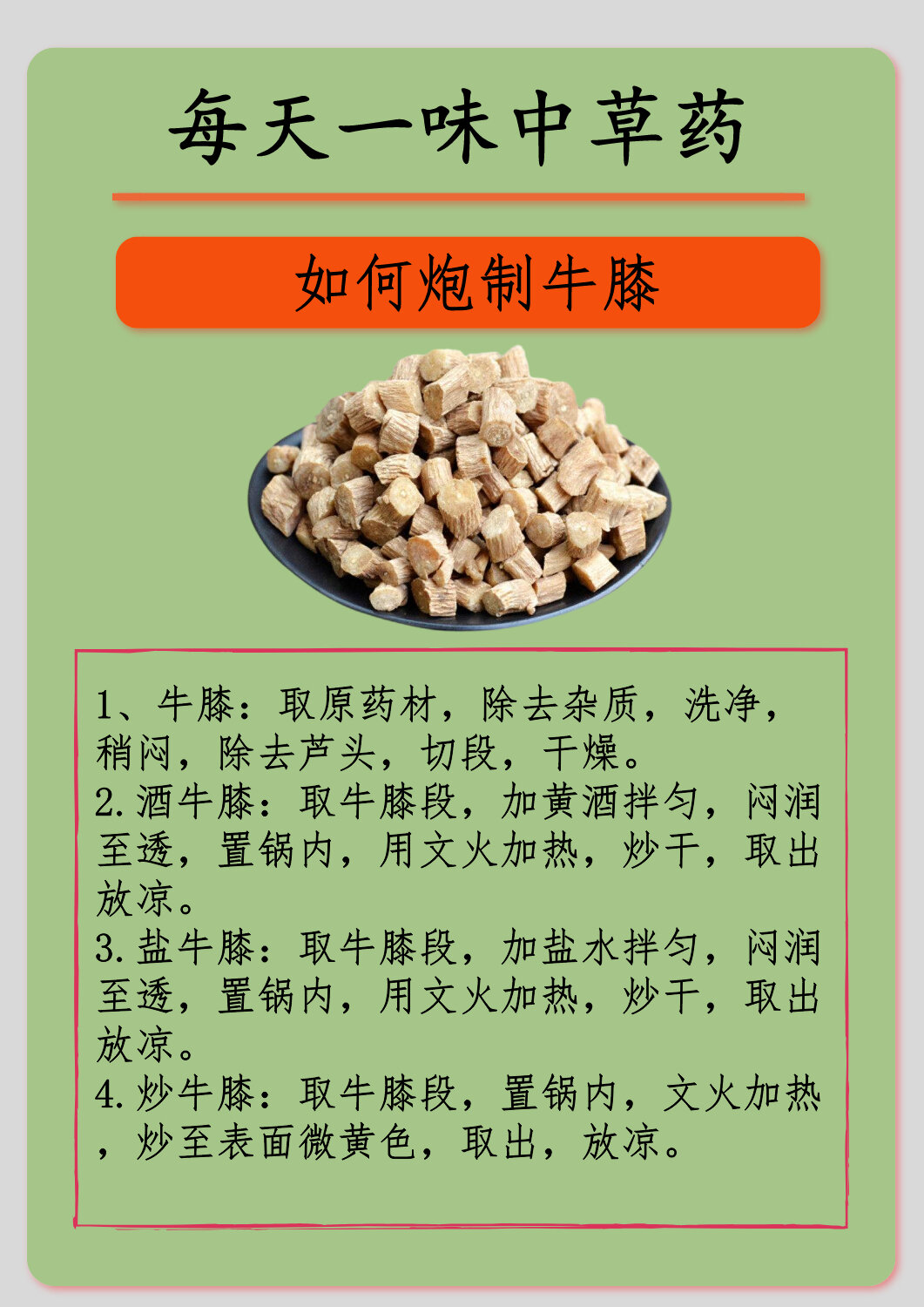 中药牛膝的功效与作用