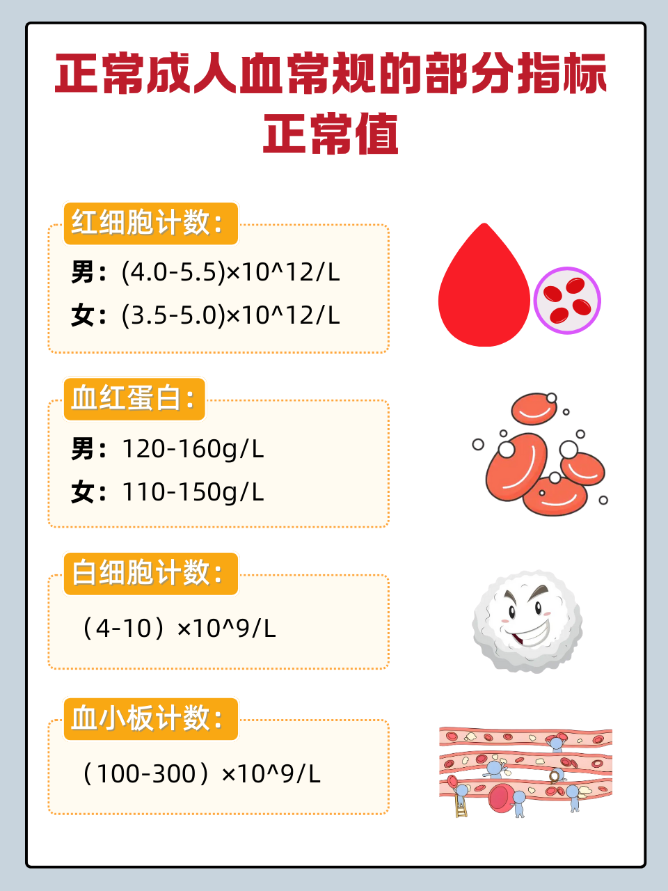 中性粒细胞低于正常值