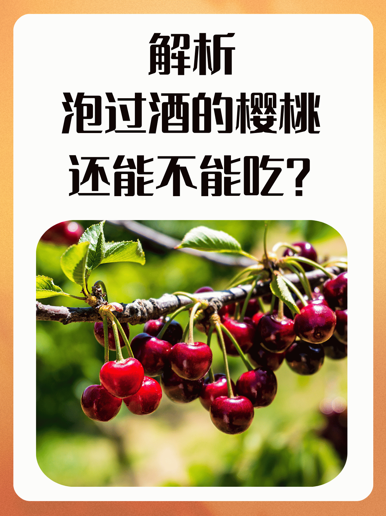 樱桃泡酒的作用和功效