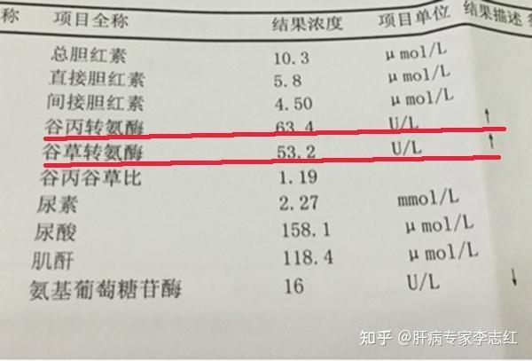 血清谷丙转氨酶高的常见原因