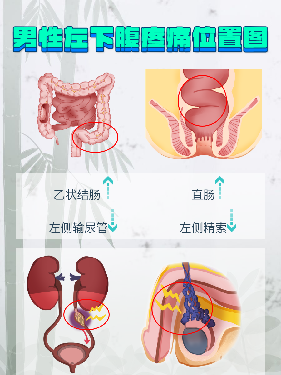 男性小腹痛怎么回事