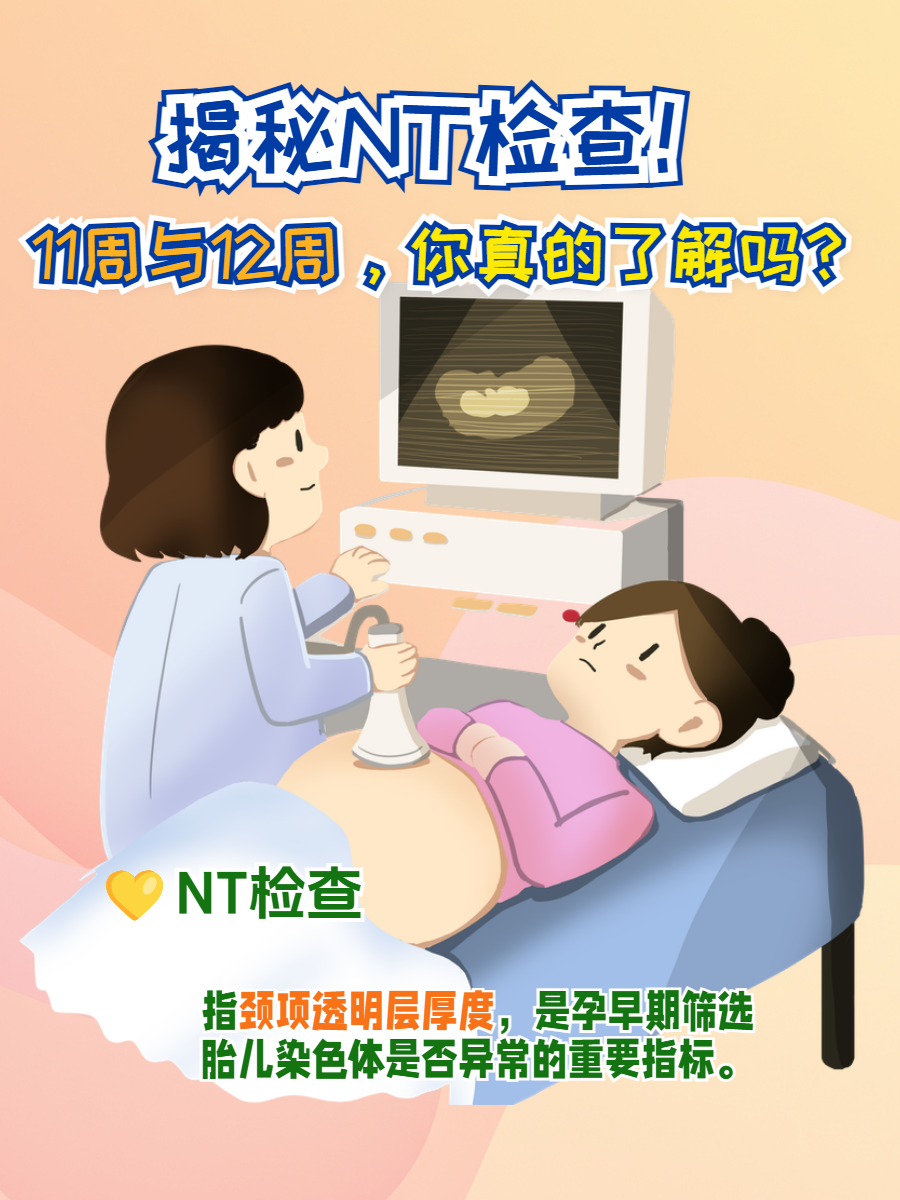 NT检查什么意思