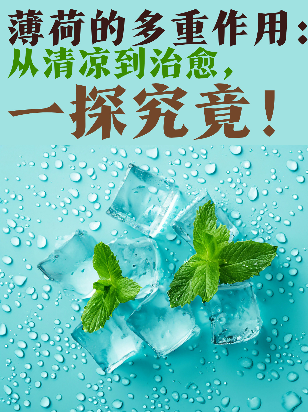 薄荷的功效与作用有哪些