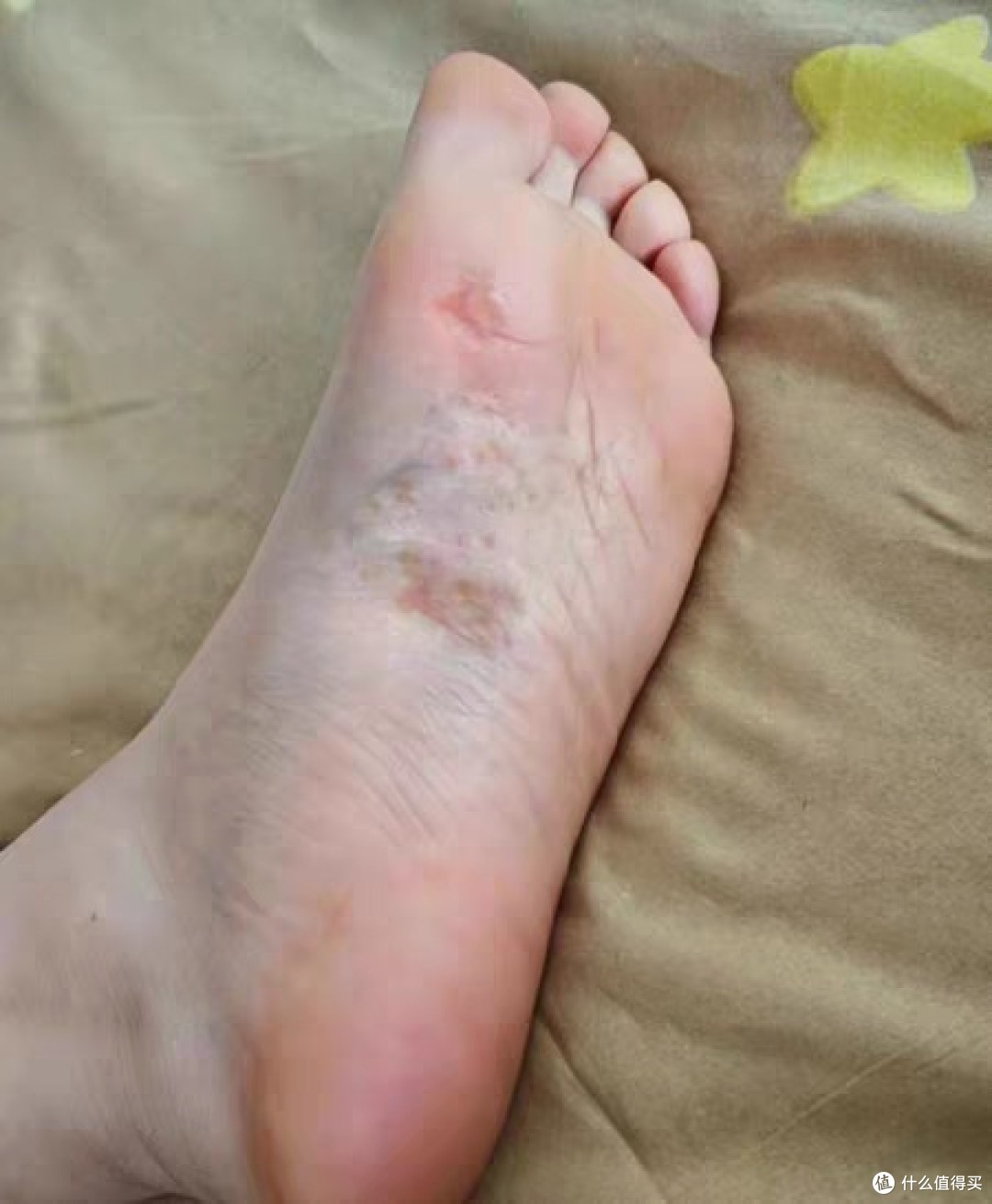 果涵育 第2页