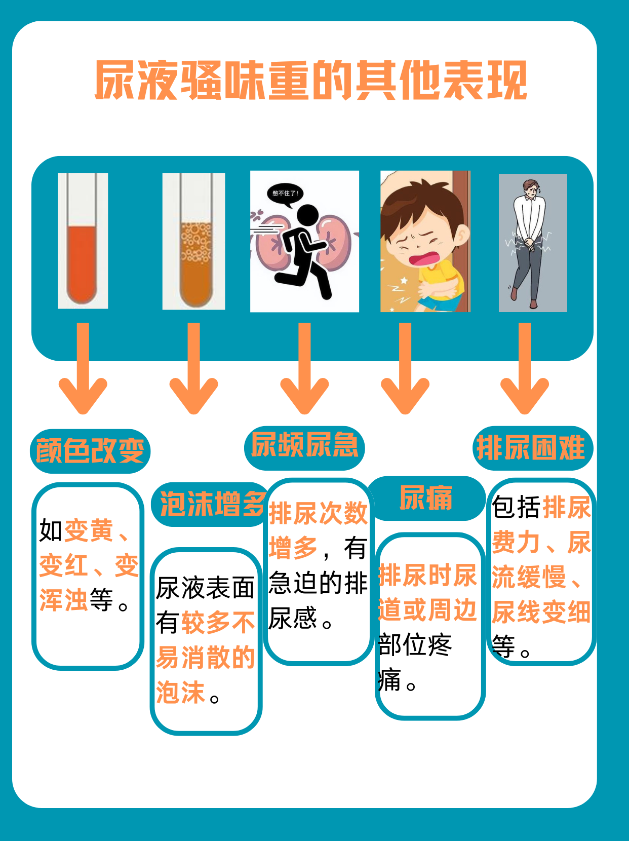 尿很臭是什么原因
