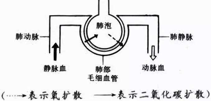 动脉血氧分压