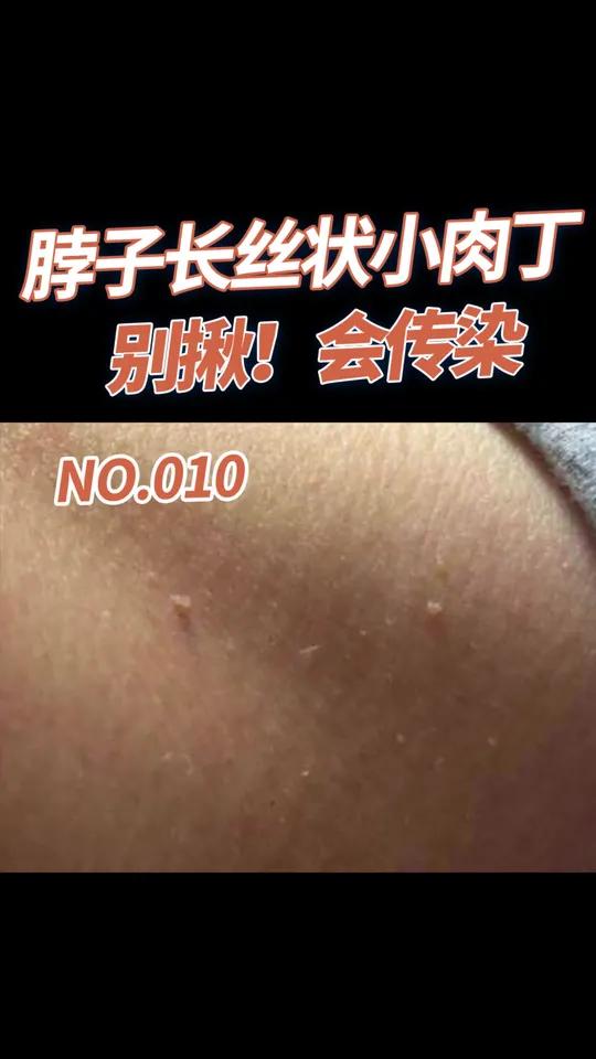 薄飞航 第2页