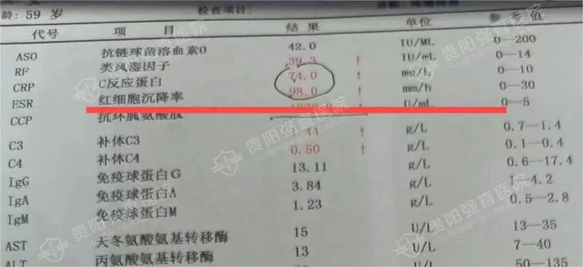 红细胞沉降率是什么意思
