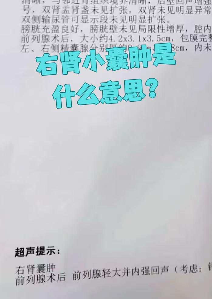 肾囊肿是什么意思