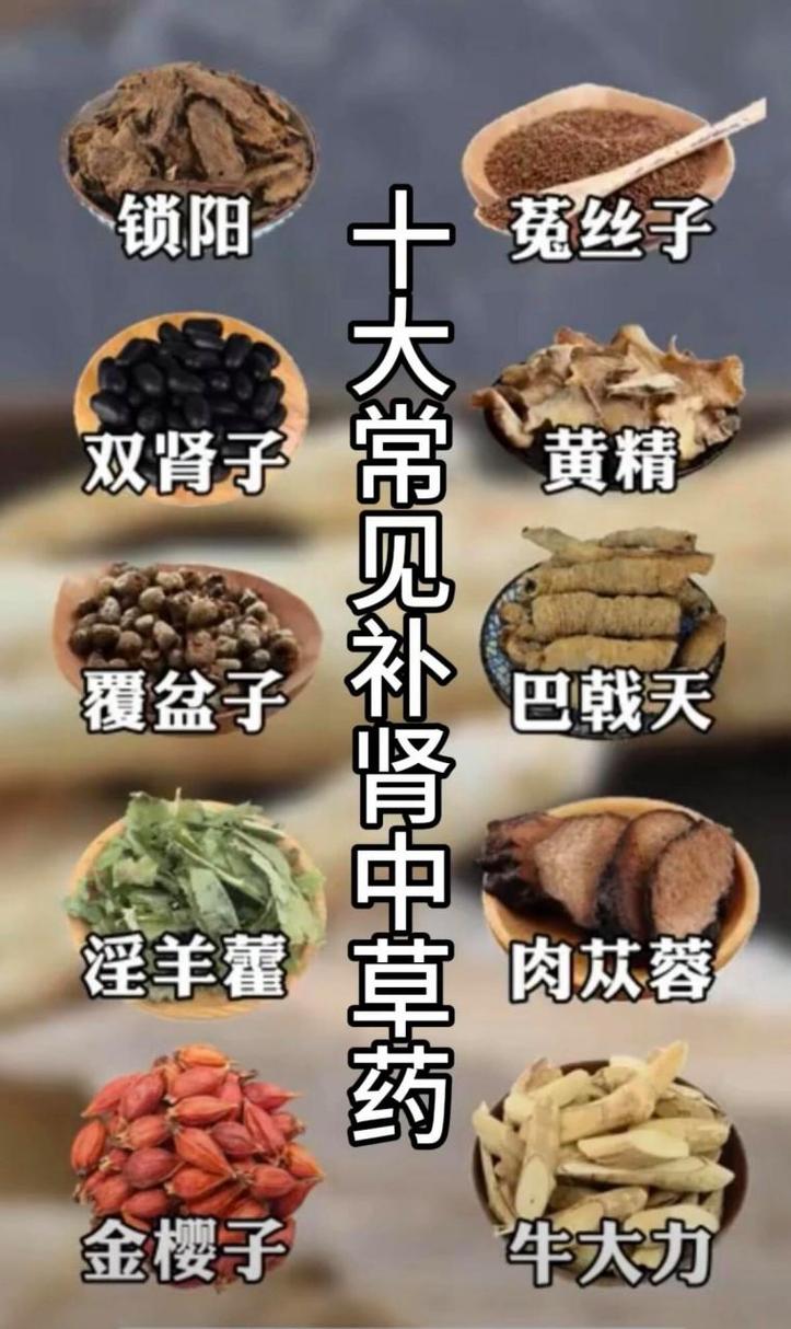肾虚的食疗方法