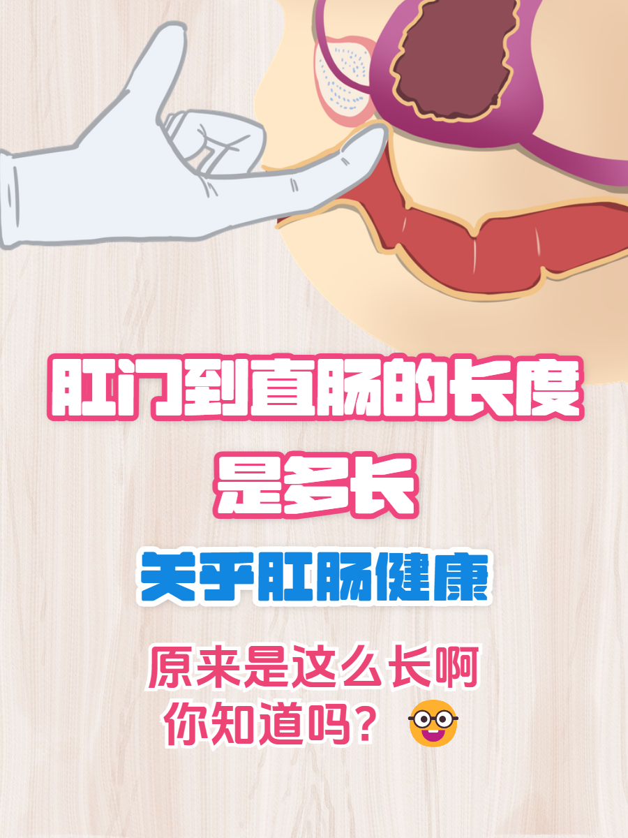 直肠在人的身体什么位置