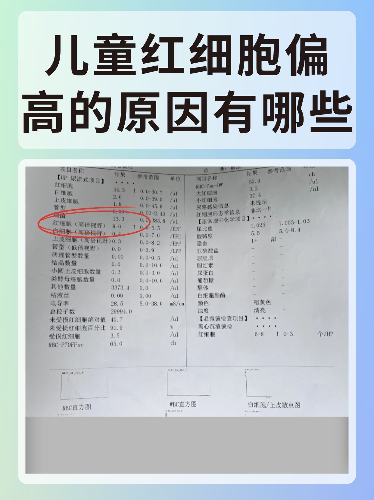 血红蛋白浓度高怎么回事