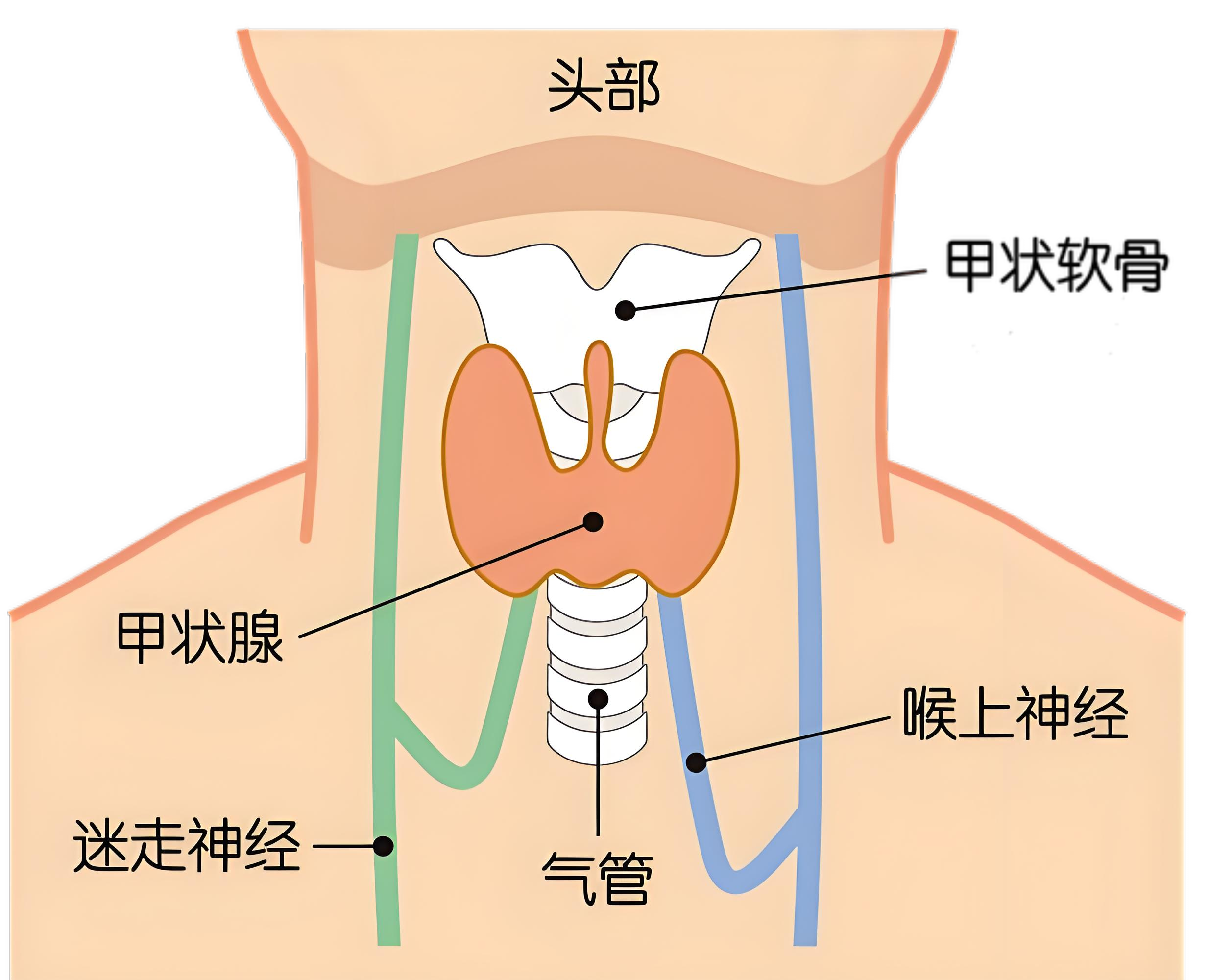 杭水蓝 第2页