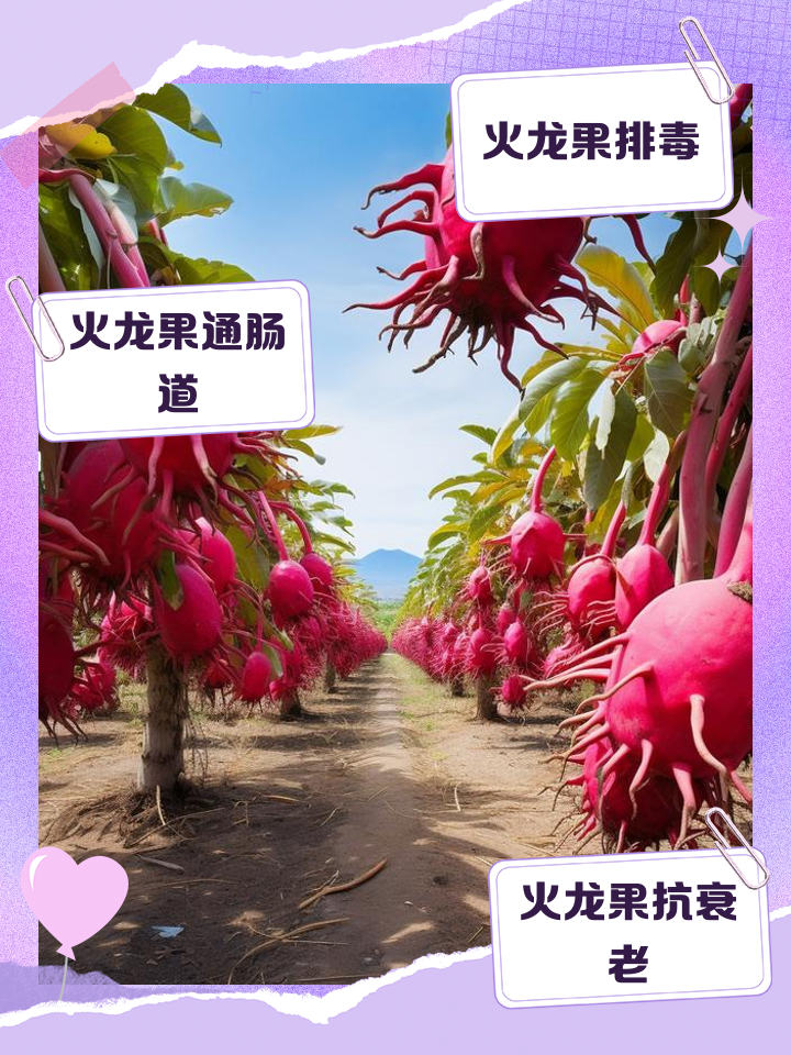 多吃火龙果有什么好处