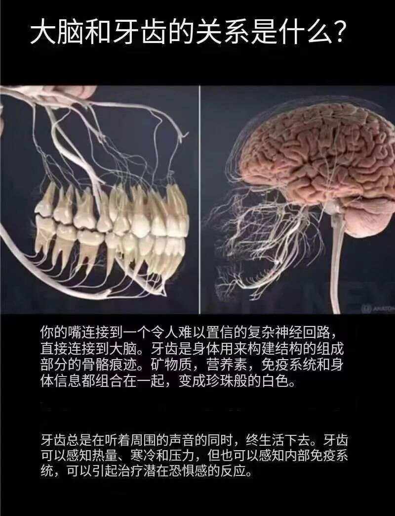 智齿还没有长出来可以拔吗