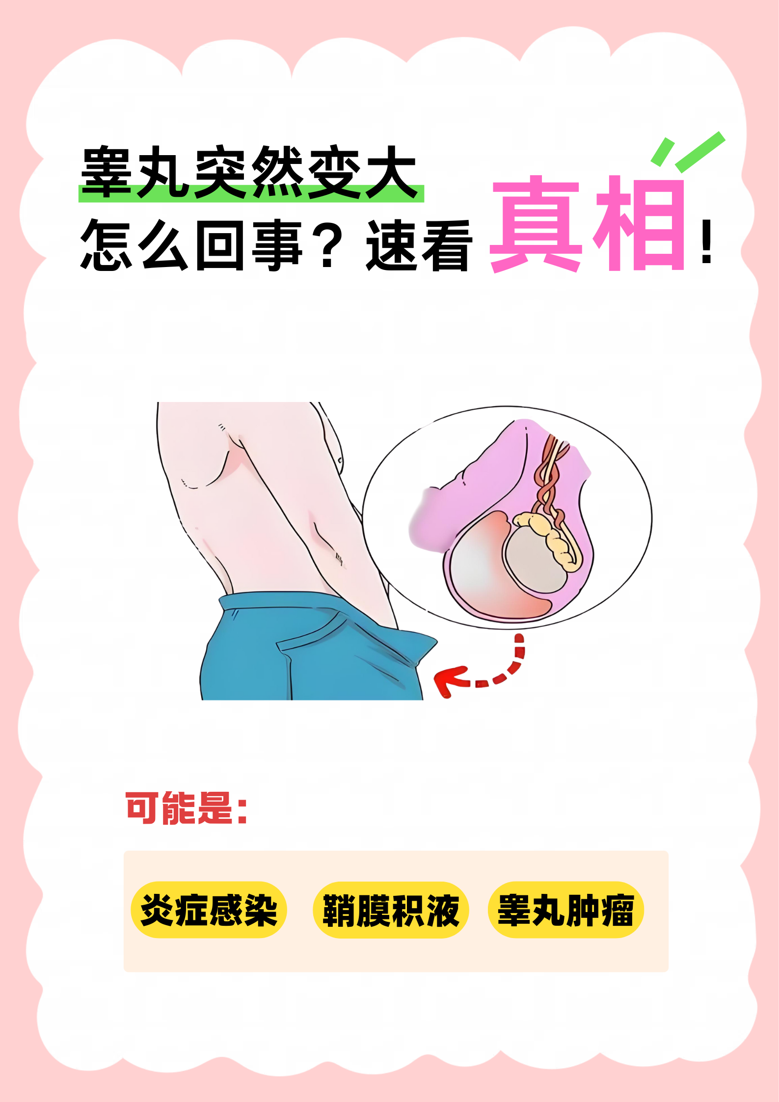 怎样能让睾丸变大