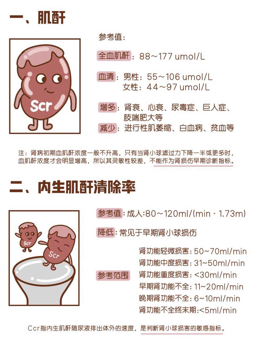 肾功能怎么检查