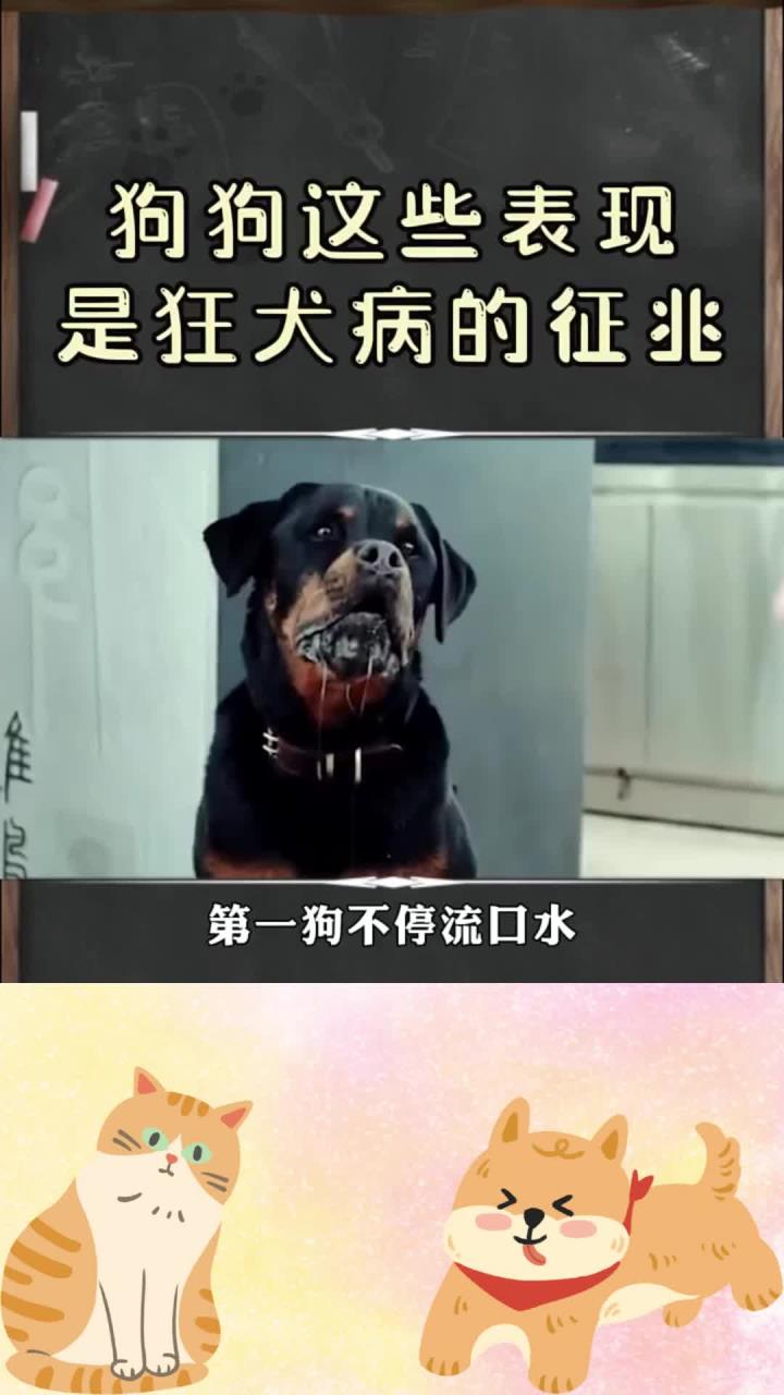 我得了狂犬病恐惧症怎么办?