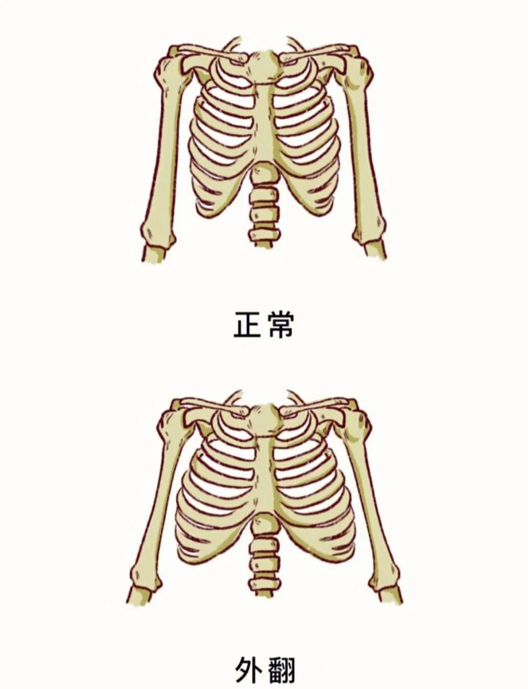 僧忆柏 第2页