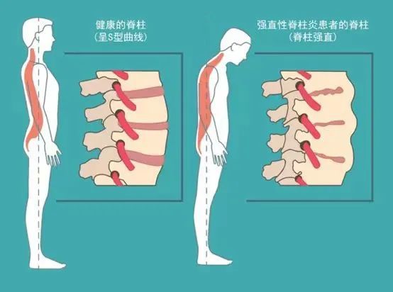 邬灵卉 第2页