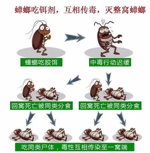 有什么方法使人轻松快速死去