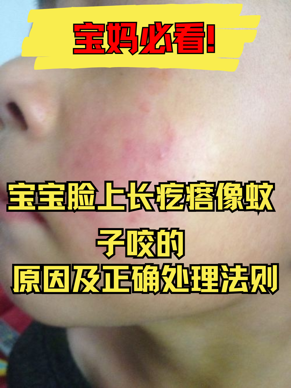丁智志 第2页