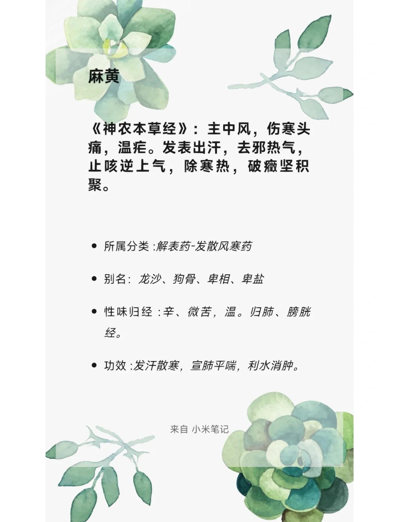 麻黄汤的组成及功效