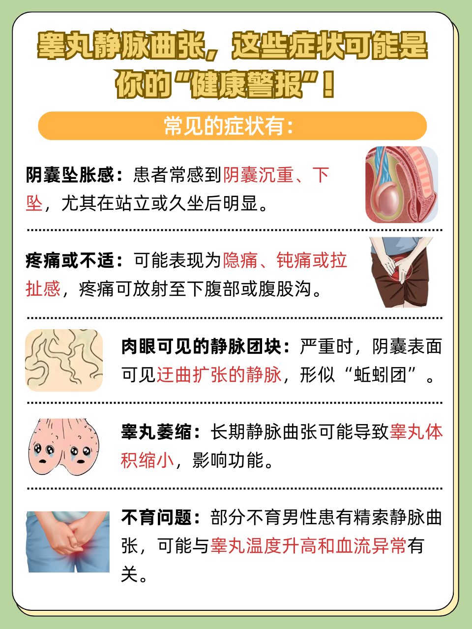 精索静脉曲张挂什么科