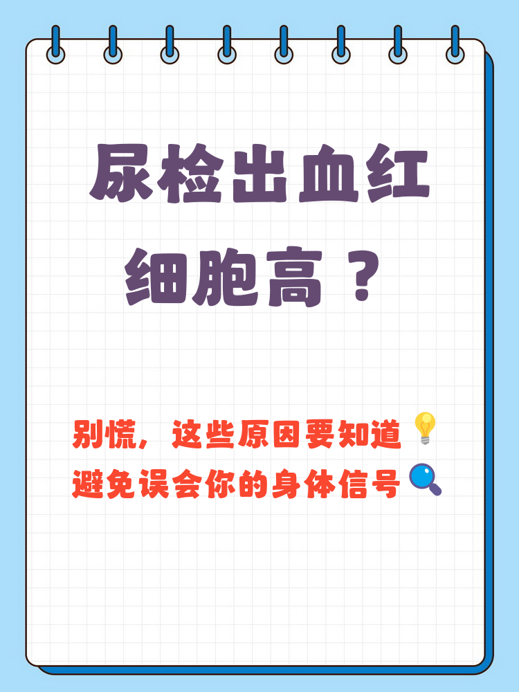 尿化验红细胞偏高
