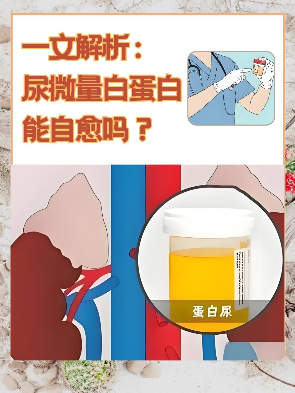 2025年10月4日 第5页