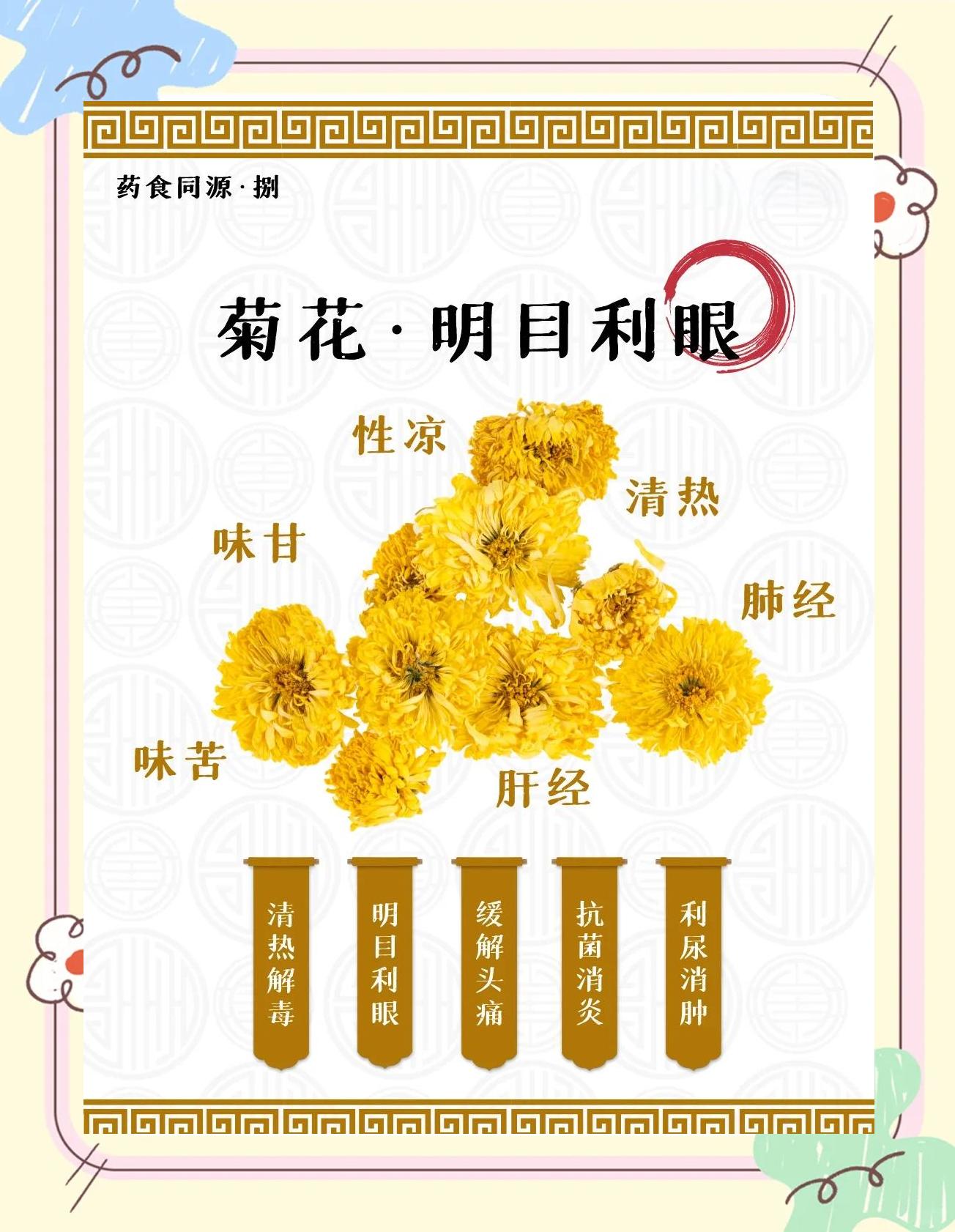 菊花的功效与作用