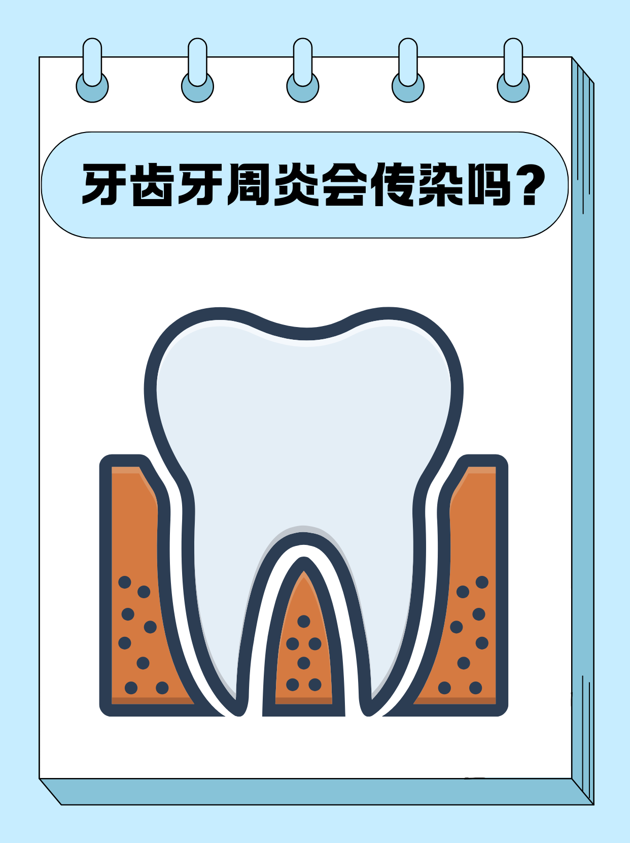 贰刚豪 第2页