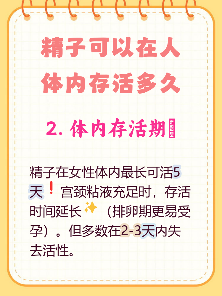 y精子存活时间