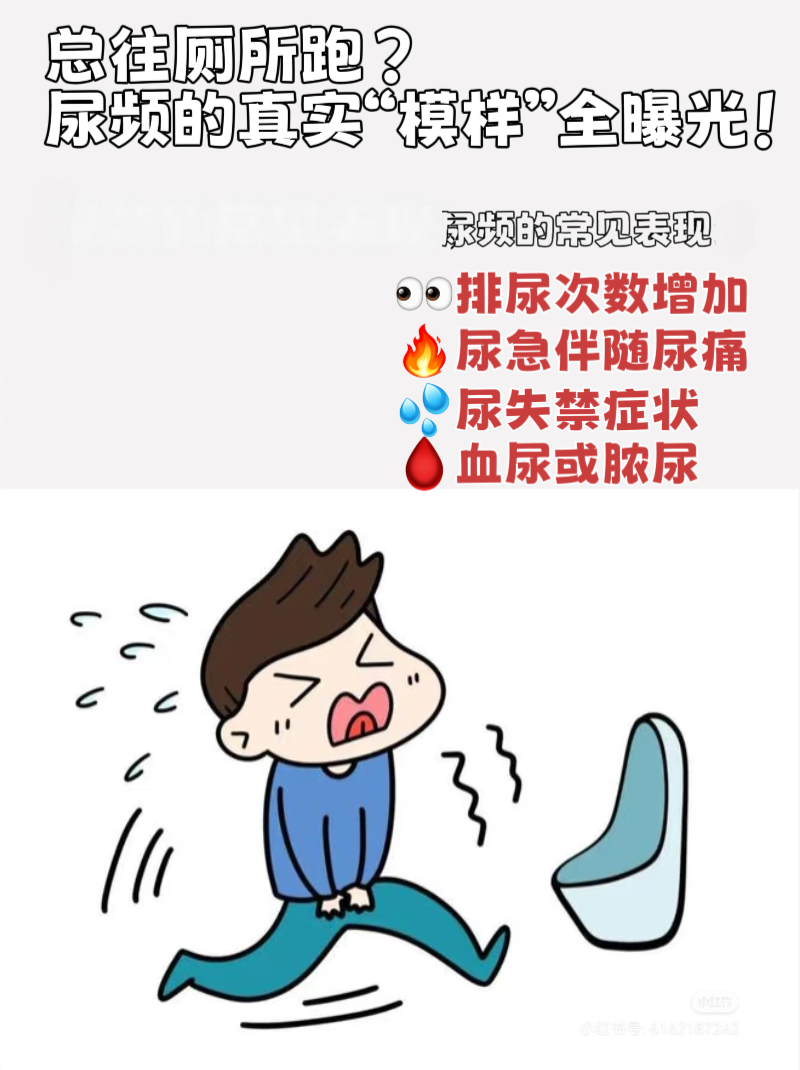宝宝尿频是什么原因