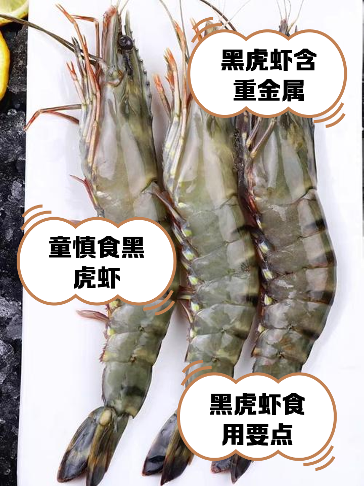 虾的营养价值