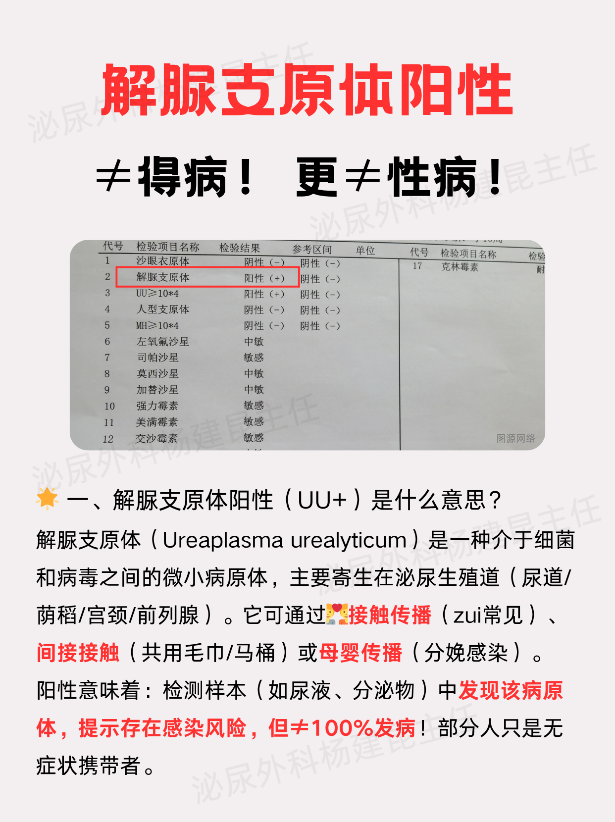男性解脲支原体(阳性)