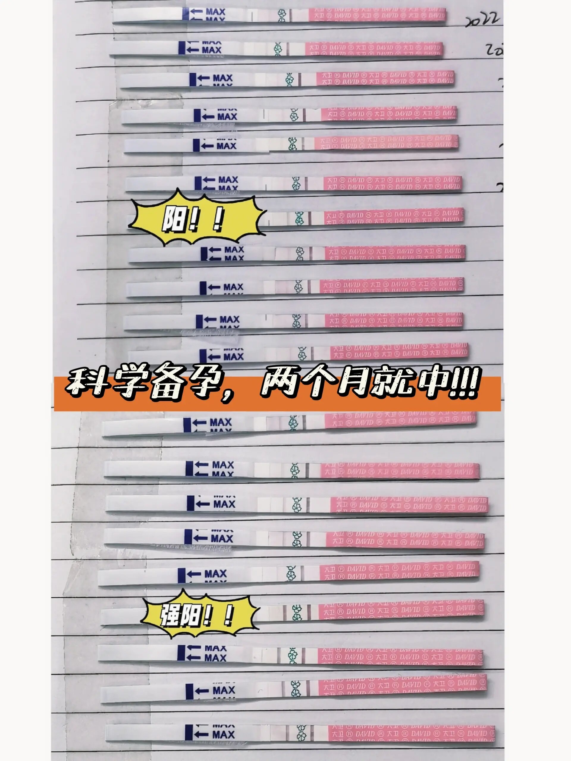 排卵试纸可以测出怀孕了吗