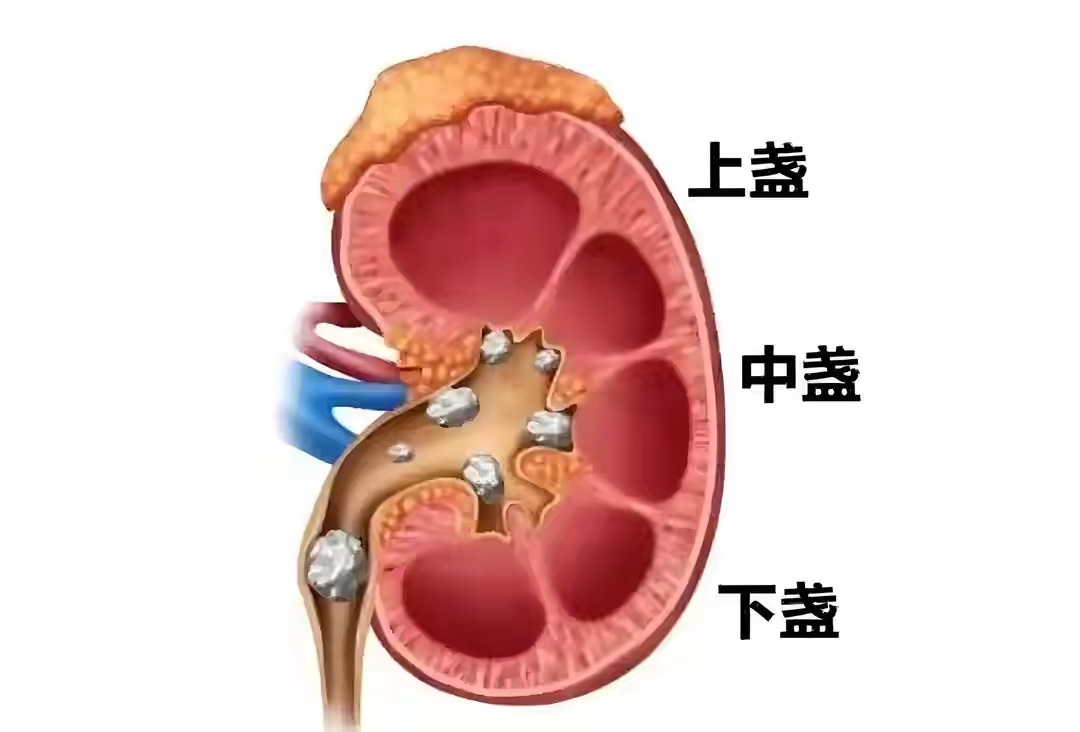 费莫流丽 第2页