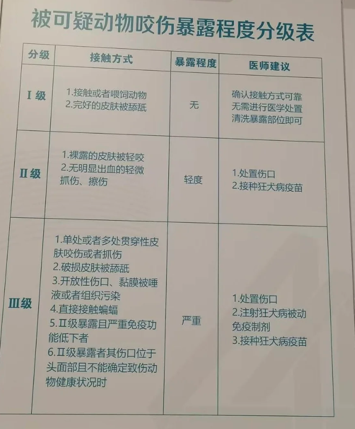 狂犬病一般什么时候发作