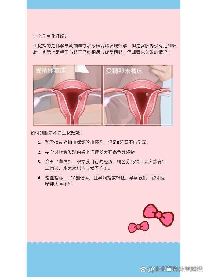 妊娠什么意思啊?????????????