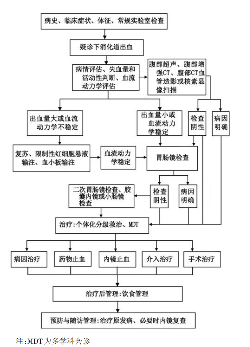 消化道出血的原因是什么?