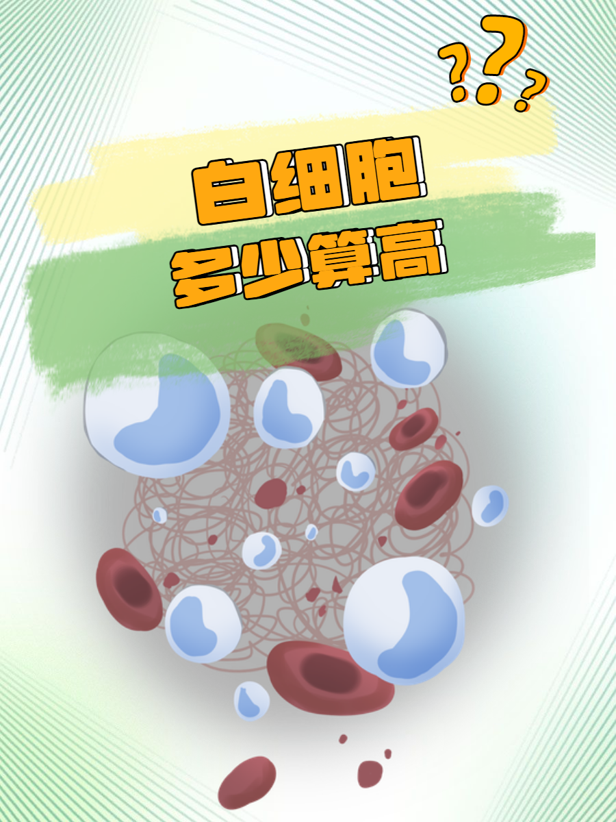 白细胞增多