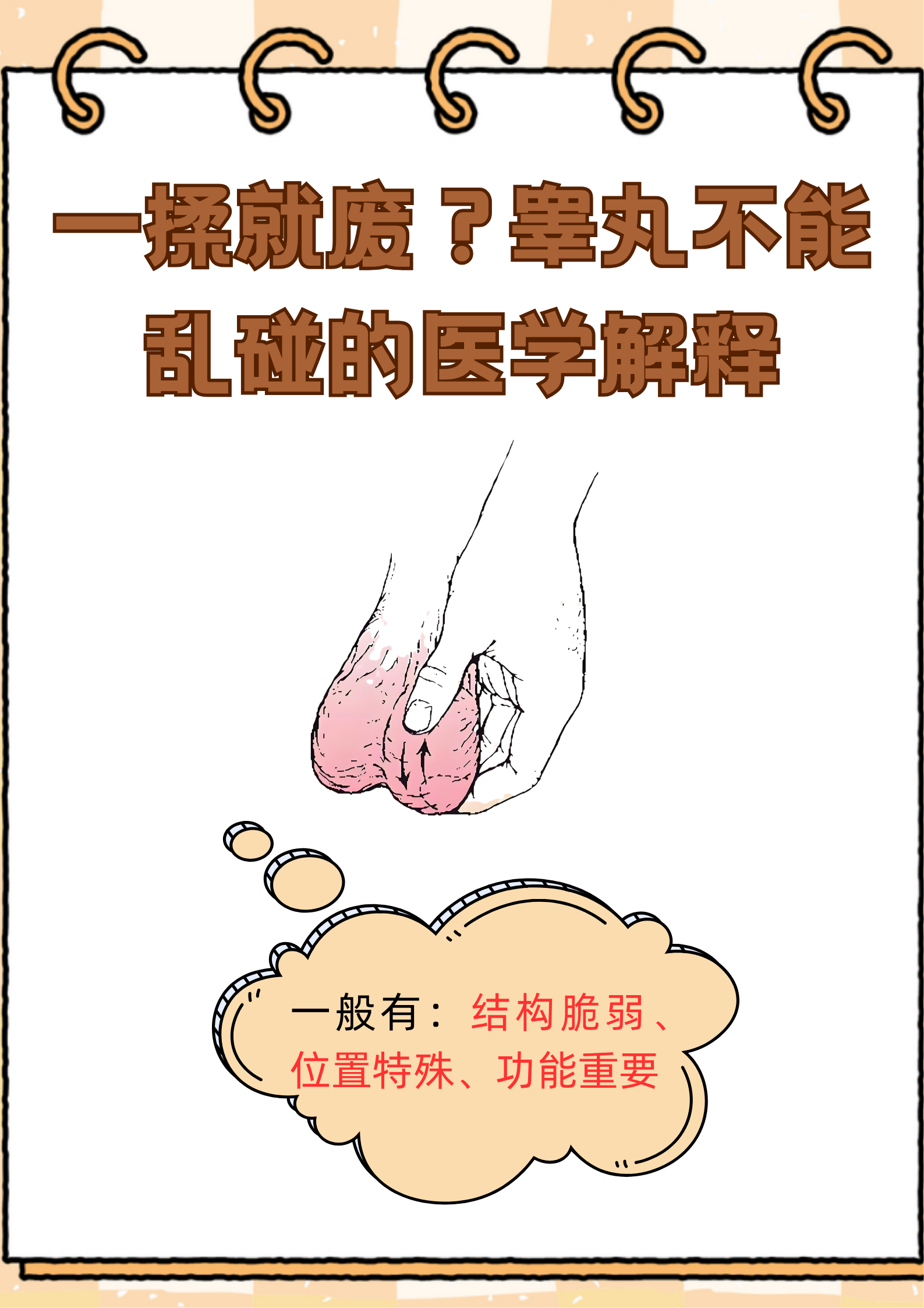 睾丸大小不同会影响性功能吗?