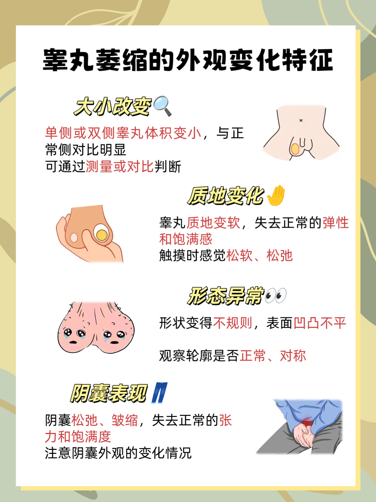 睾丸大小不同会影响性功能吗?