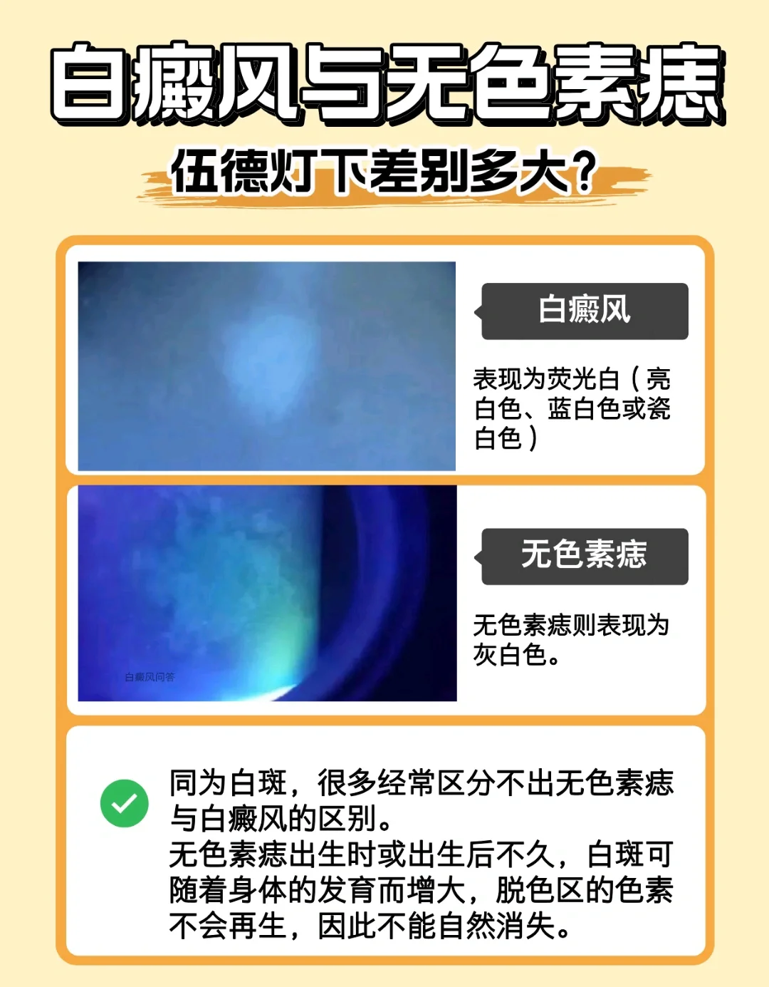巩新竹 第2页