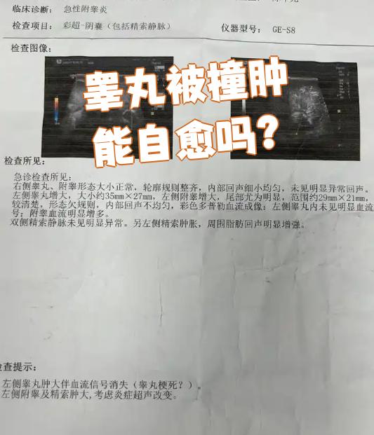 睾丸炎是怎样引起的